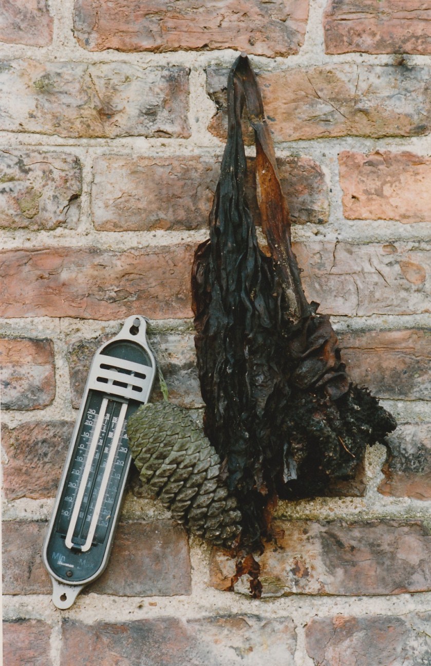 F4D3E452-4781-4656-B06B-C85874747BF9