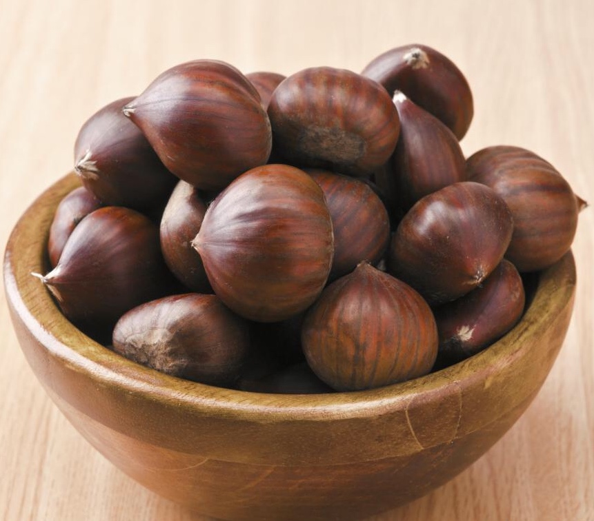 555EB19F-21C0-46F1-B7E0-2A2067E9A7CD