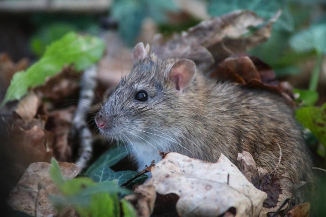 4C5D7DFA-280E-4D83-BDB5-6752F3E69FEE