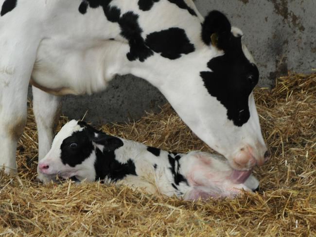 975F77DA-652D-44F7-BC6F-7EC2B62C98FD