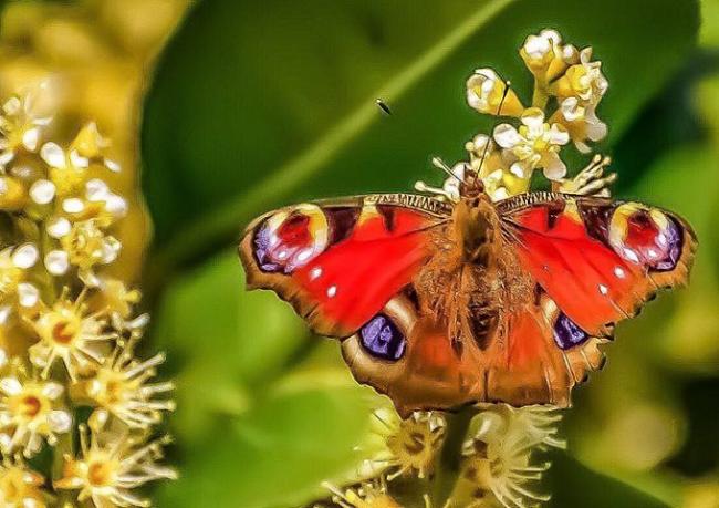 FC2DB3D5-AD8E-4C59-A9C8-4F92643176CD