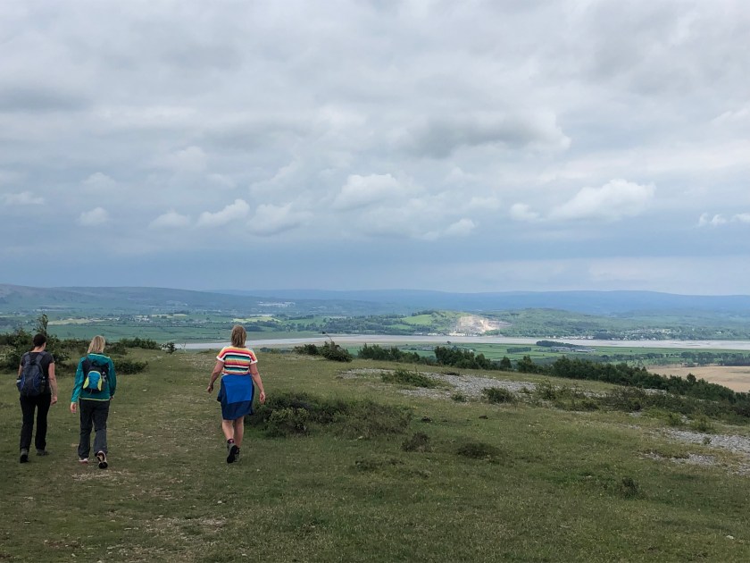 02D0A1F6-950D-4CB4-9036-9A89C5323292