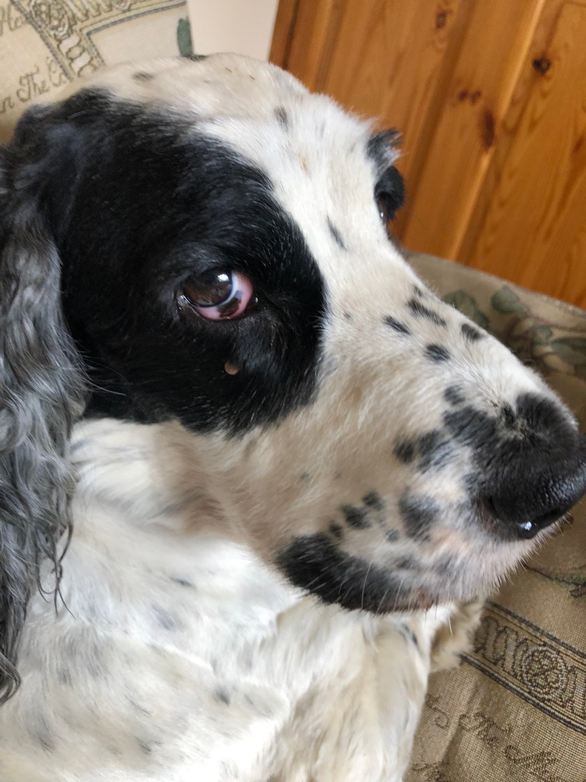 05434A83-1627-4C0B-BF55-CB575FEEB81C