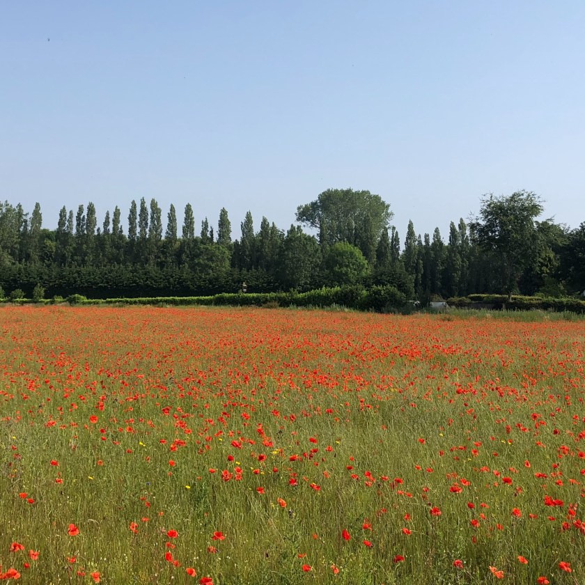 6EAD60FE-8981-45E4-BF66-6B06965E2454