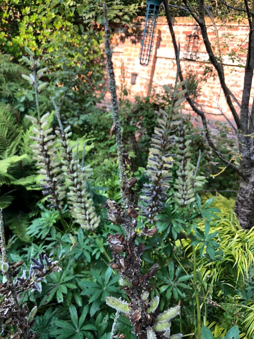 6DB11888-8D60-4CBE-90E2-DE79D0BD3210