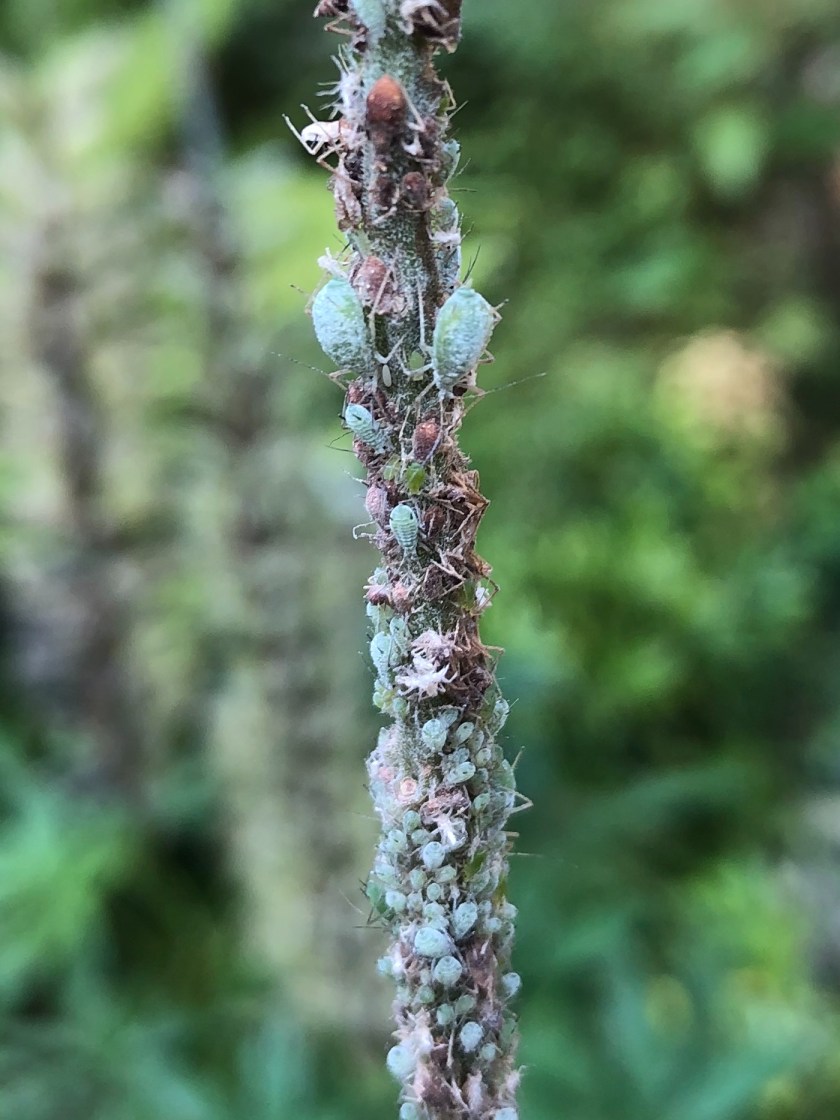 B39046D7-86EA-428A-9C5B-2A31338C5D59