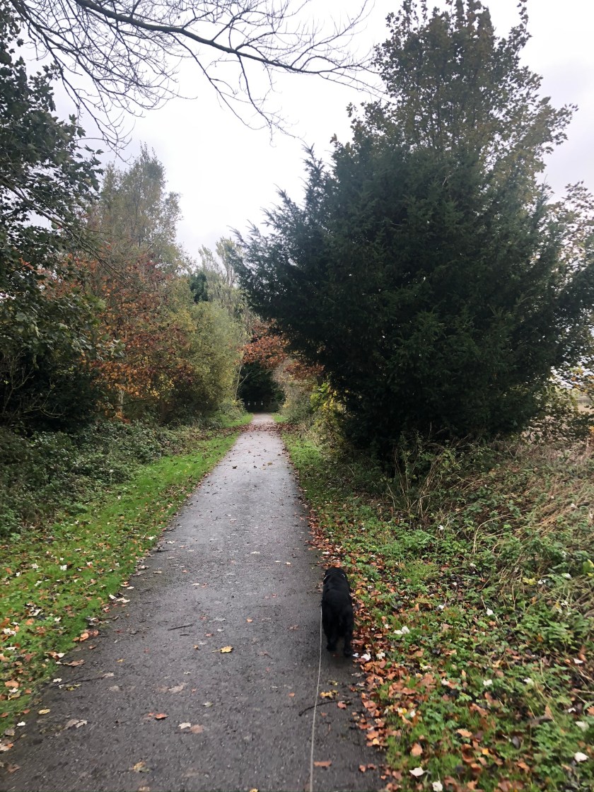 D45BF7C7-7827-4E16-A56C-09978560135F