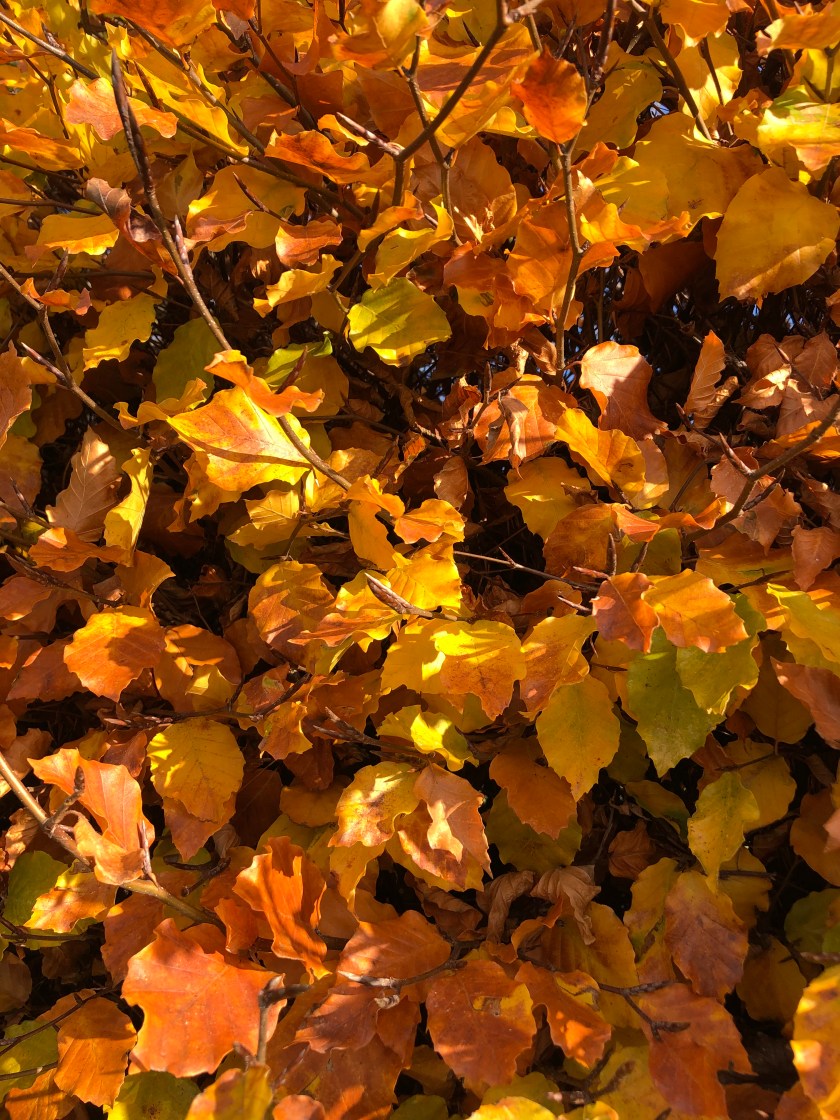 7D83D81D-E546-4B9B-9910-13536E937694