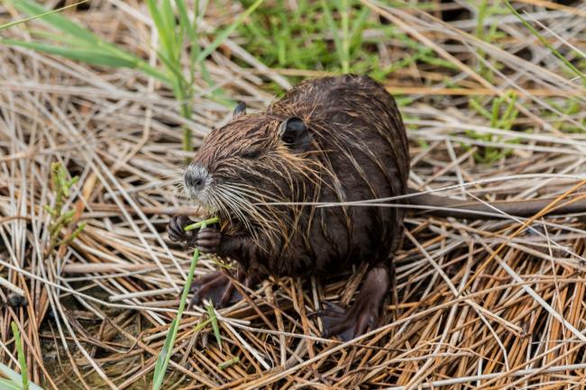 C2A077AC-9683-4CC1-9074-8C5FB11AB0FB