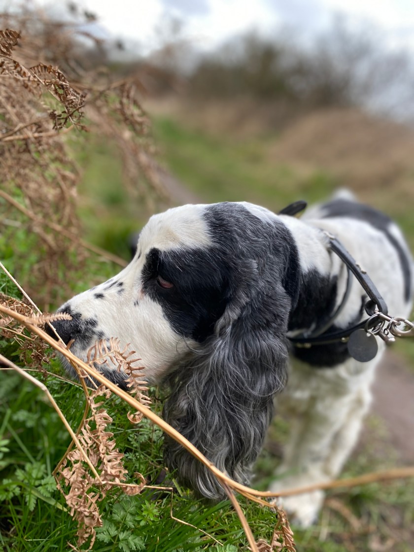 2EEE7CF0-B370-48D2-8D7F-9C296A97B3D3