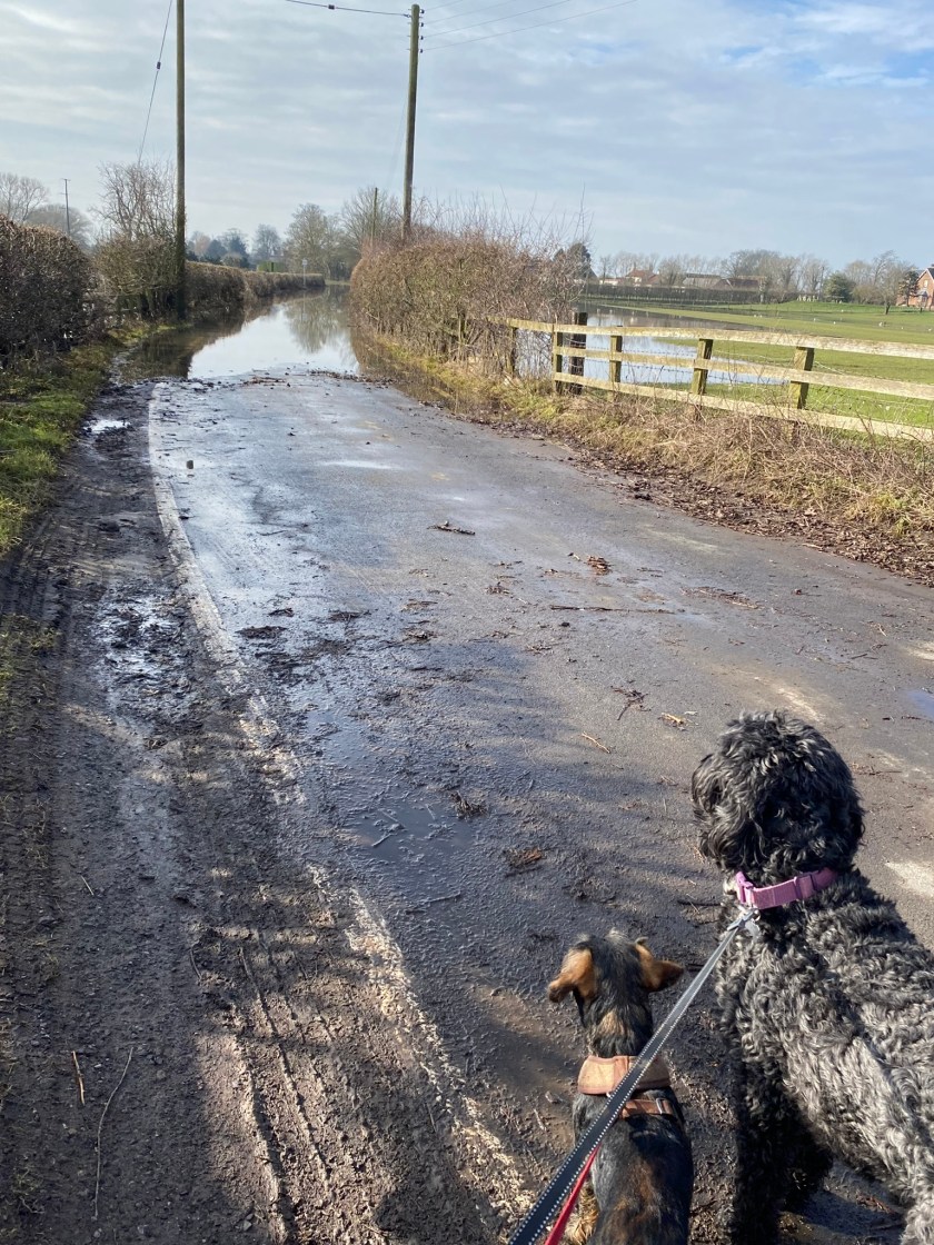 FE51D85D-A704-47A3-8B9B-4DF01B806574