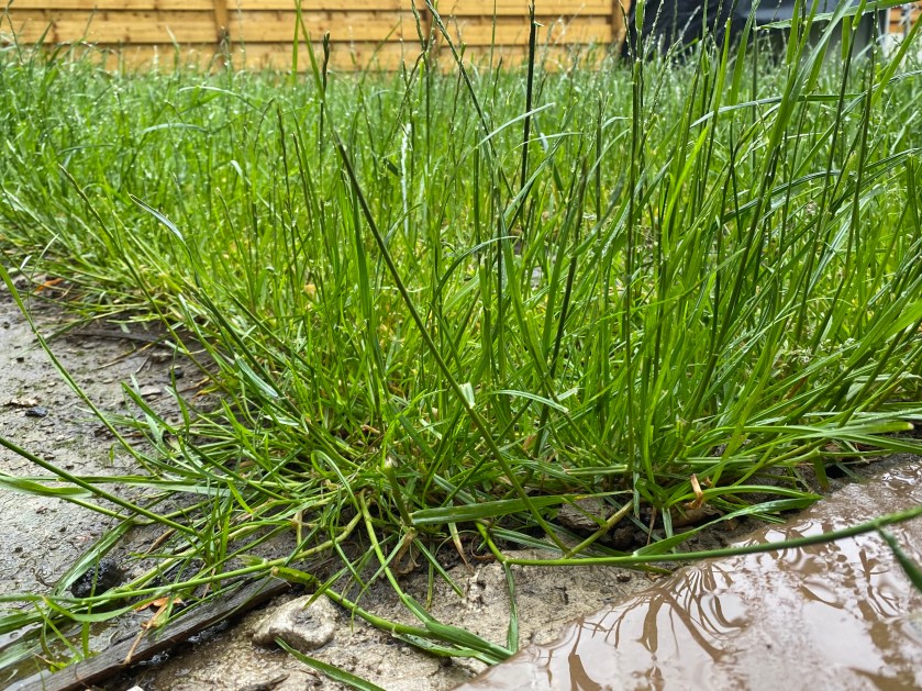 C4D42803-0E6F-4885-9263-7AE7F2FAF5D2