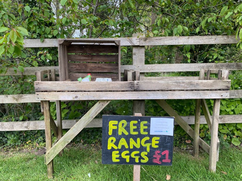 48CF53C6-9104-404A-A696-500F676ED5DC