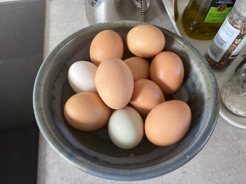 B1D1C270-2CED-4E99-924F-70B412A68D49