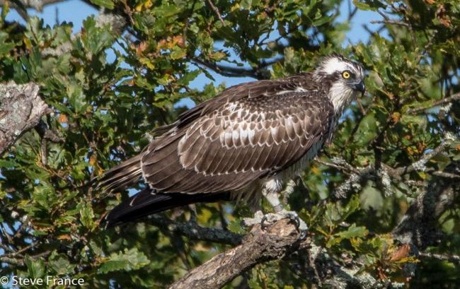 532D2455-1A85-424F-ADD0-10071AF23892