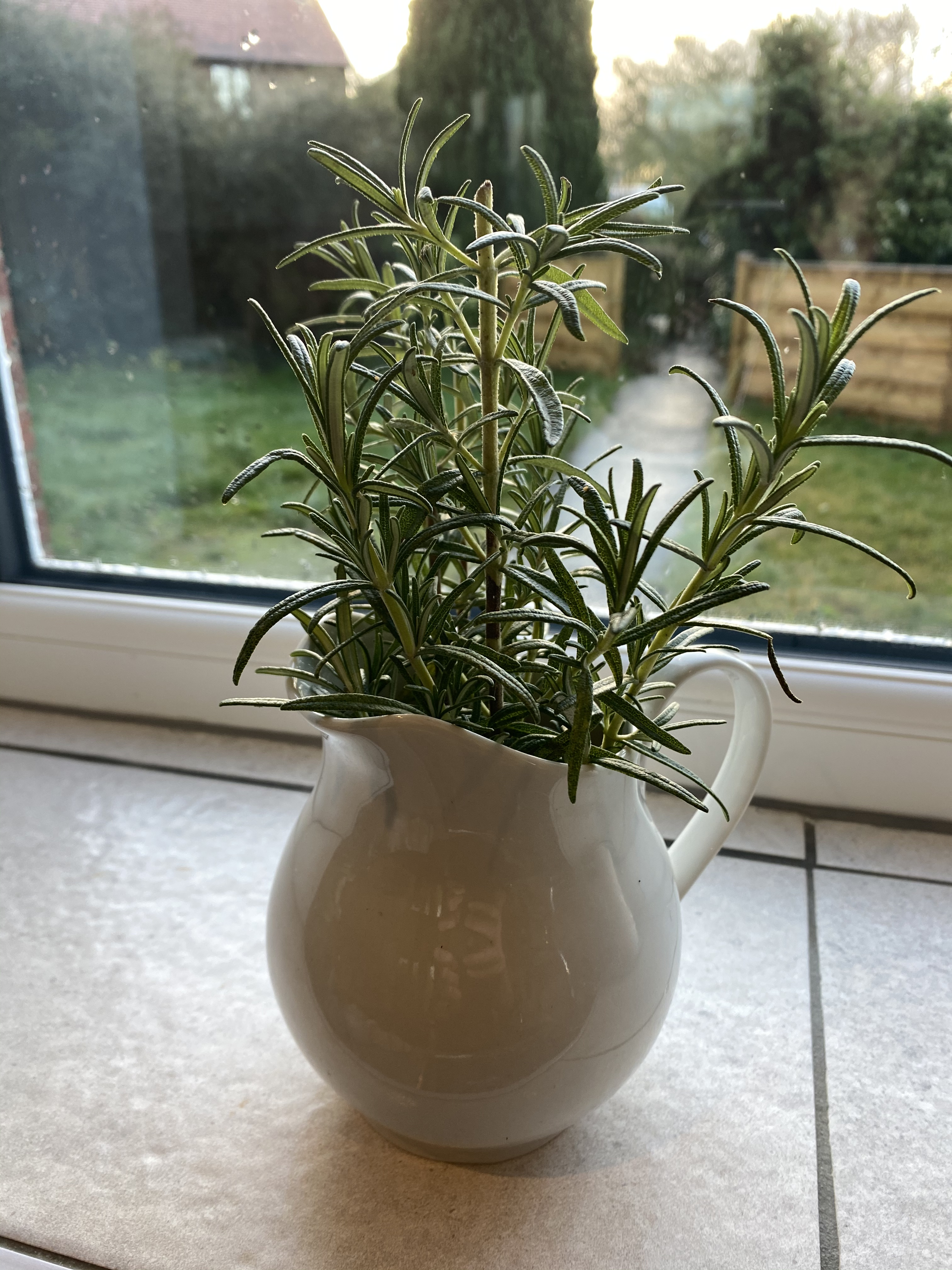 013882D0-5627-4264-BD4F-14036BF19A44