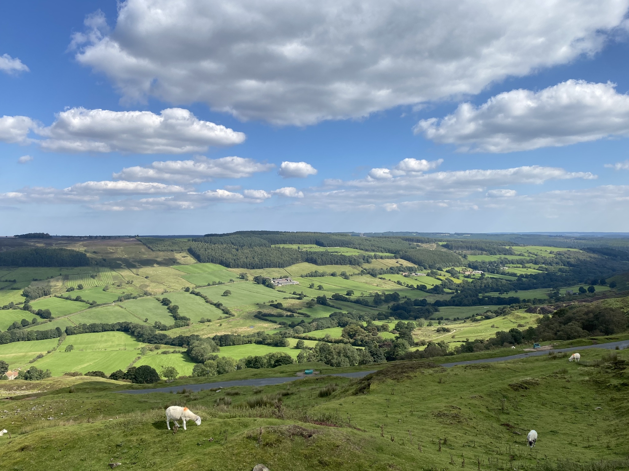 189CA6FE-6573-4BAE-AA5C-6A476186A578