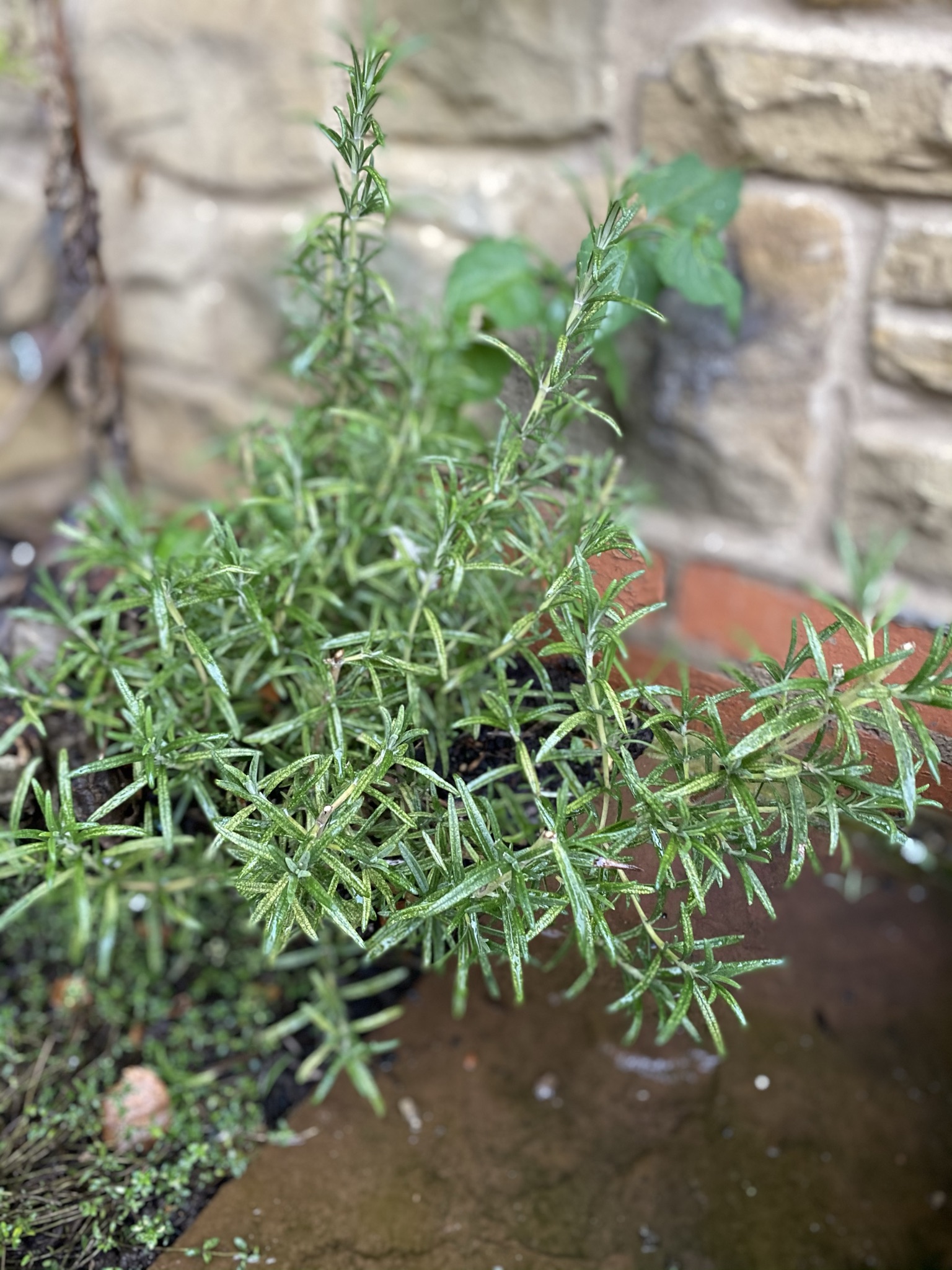 2A818D08-AF74-4B48-B921-06F0DDEA7F41