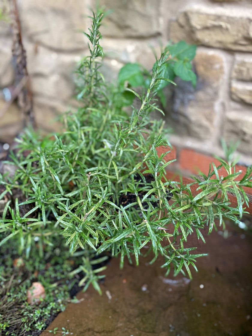 2A818D08-AF74-4B48-B921-06F0DDEA7F41