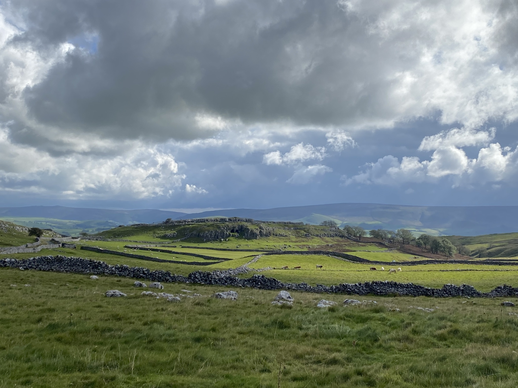 3AF2C023-BD28-414A-B409-F916A4F130C4