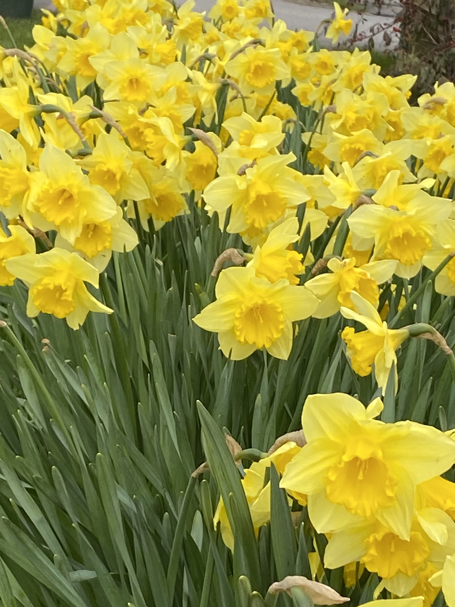 F22B108D-1A64-4B97-B226-C5DF249557F8