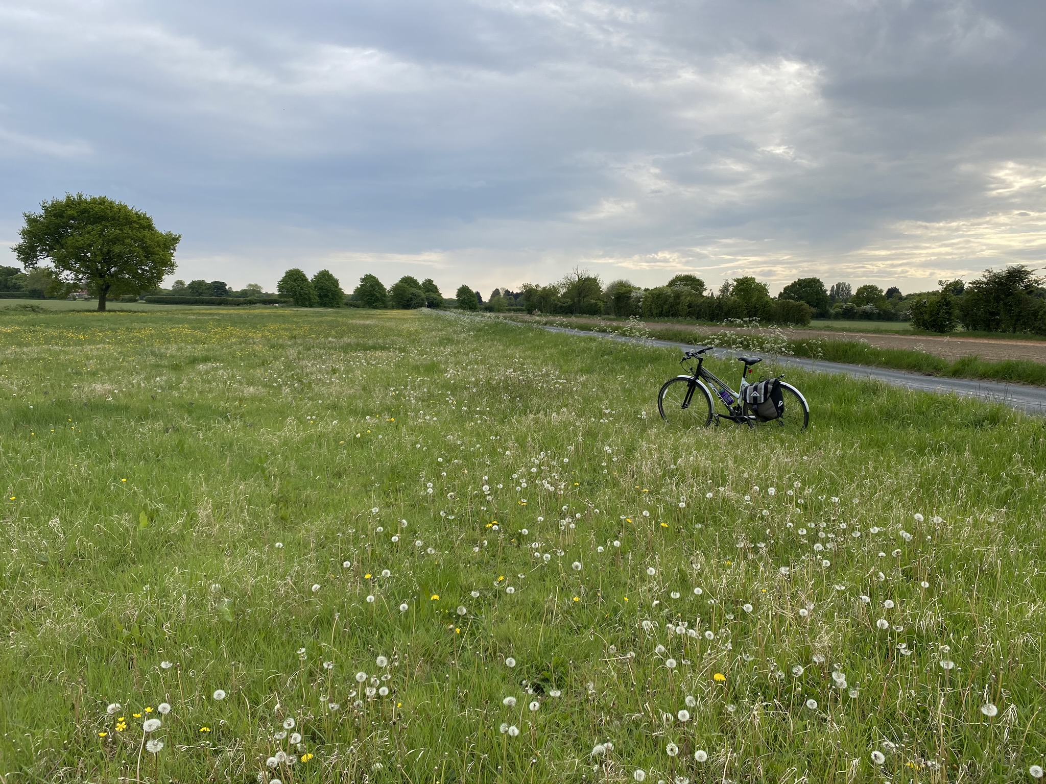 F24A415E-D492-44E3-AEA6-61D735A32779