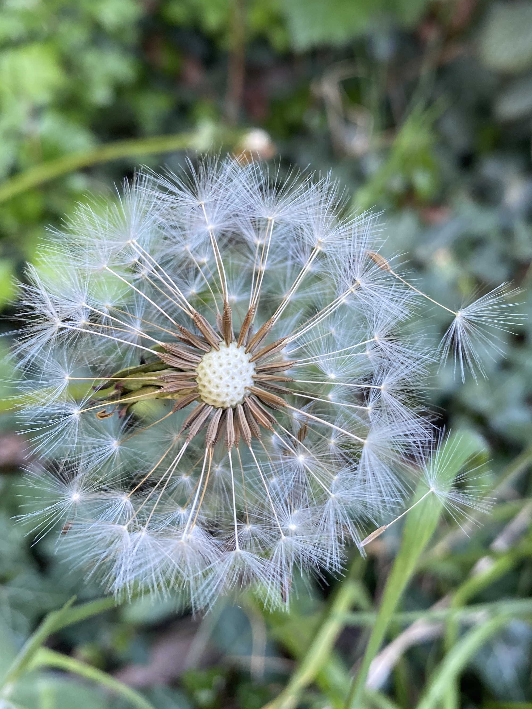 117D59DD-0829-426D-A2FC-62BA801634BA