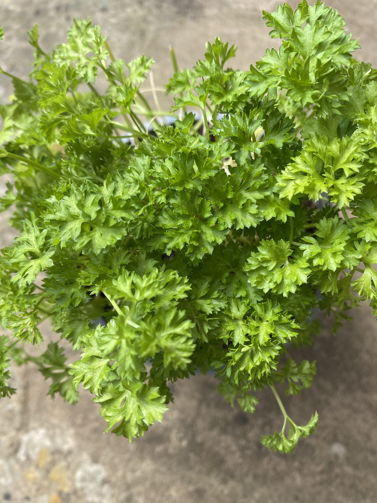 4220E8CC-22F9-43FD-9C93-0D66588B2EFE