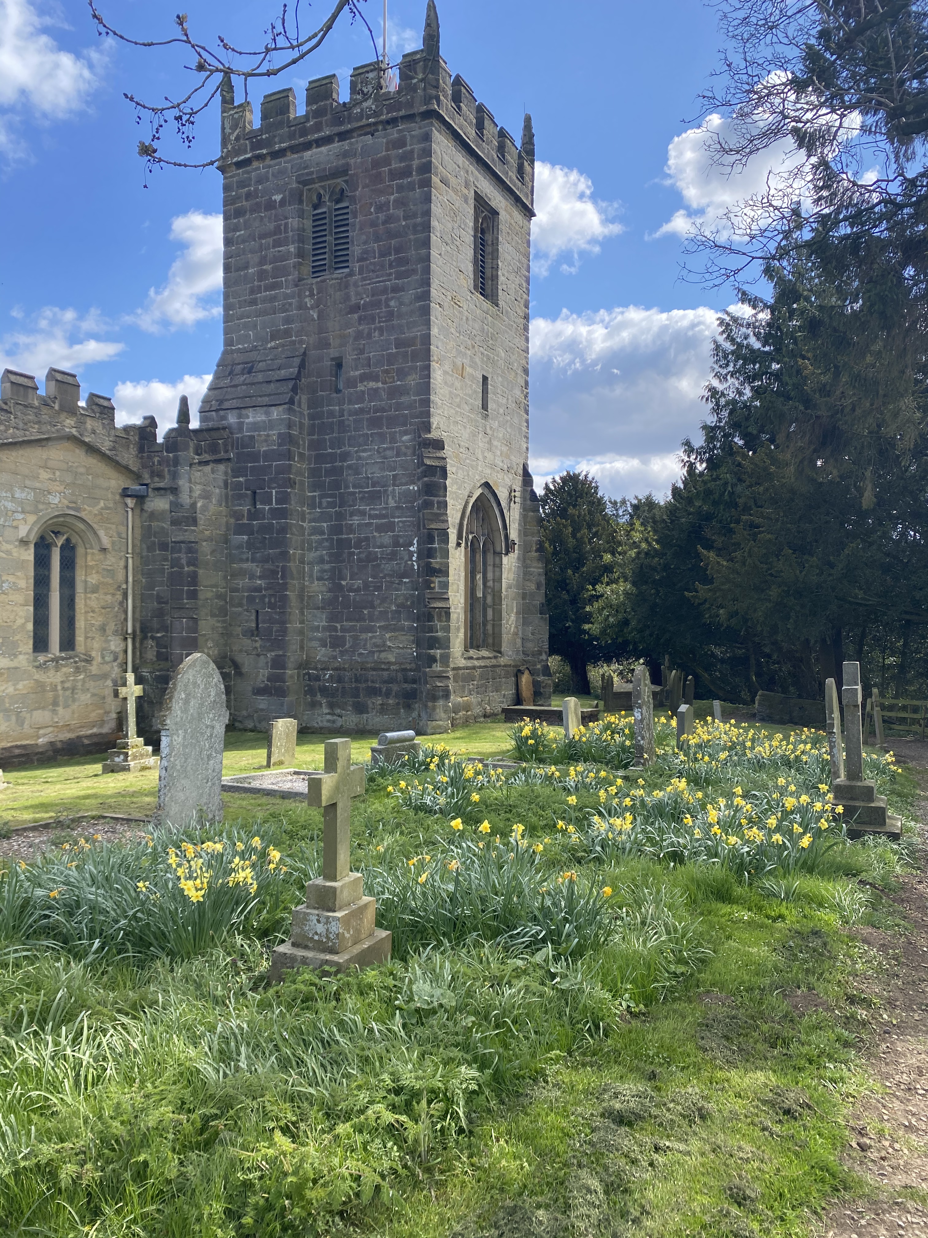 8BD672F9-2E43-464E-B443-2237ED2FE9C0