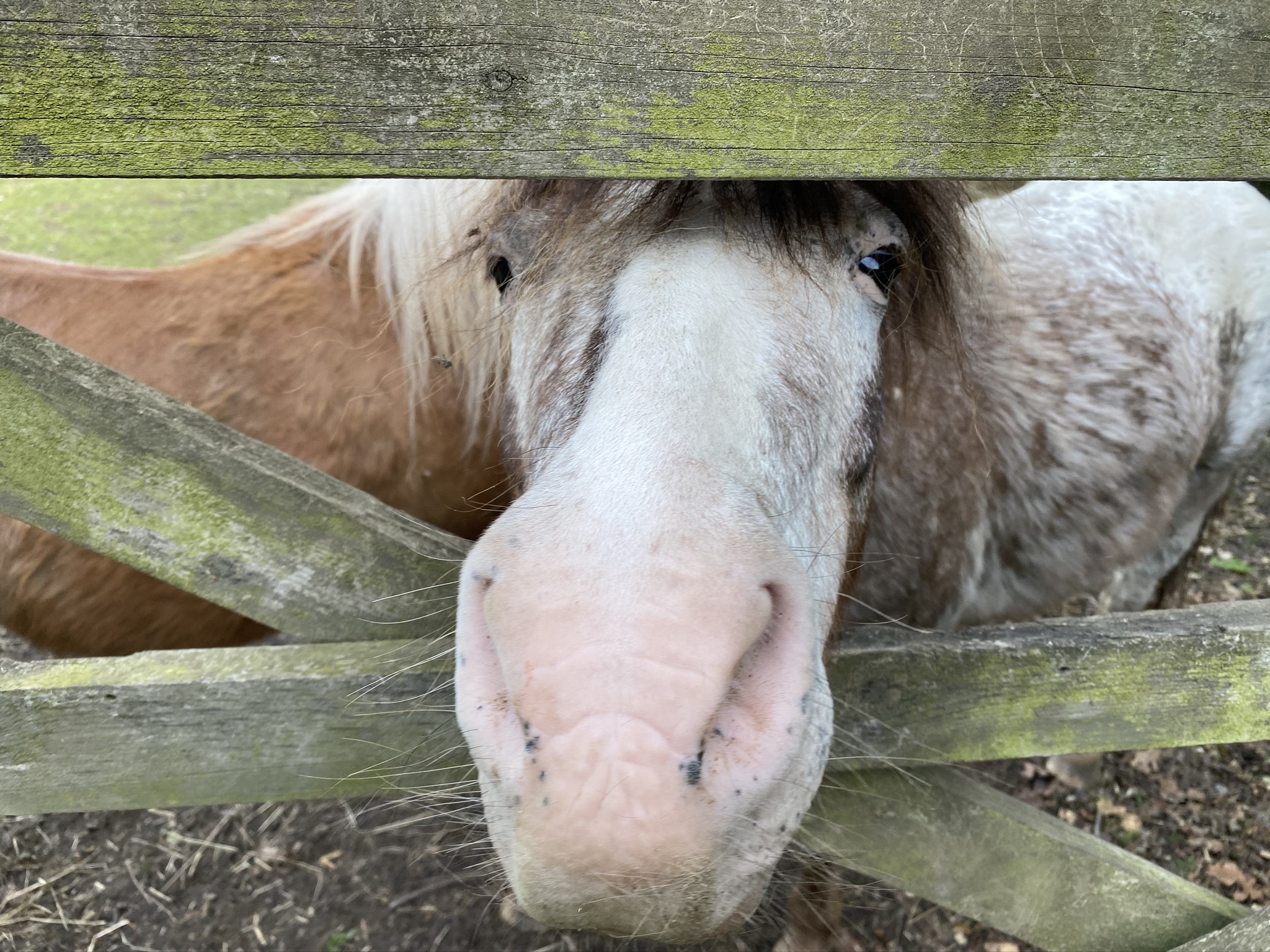 B2F55BE8-82D6-483B-BEB6-538D04CF3121