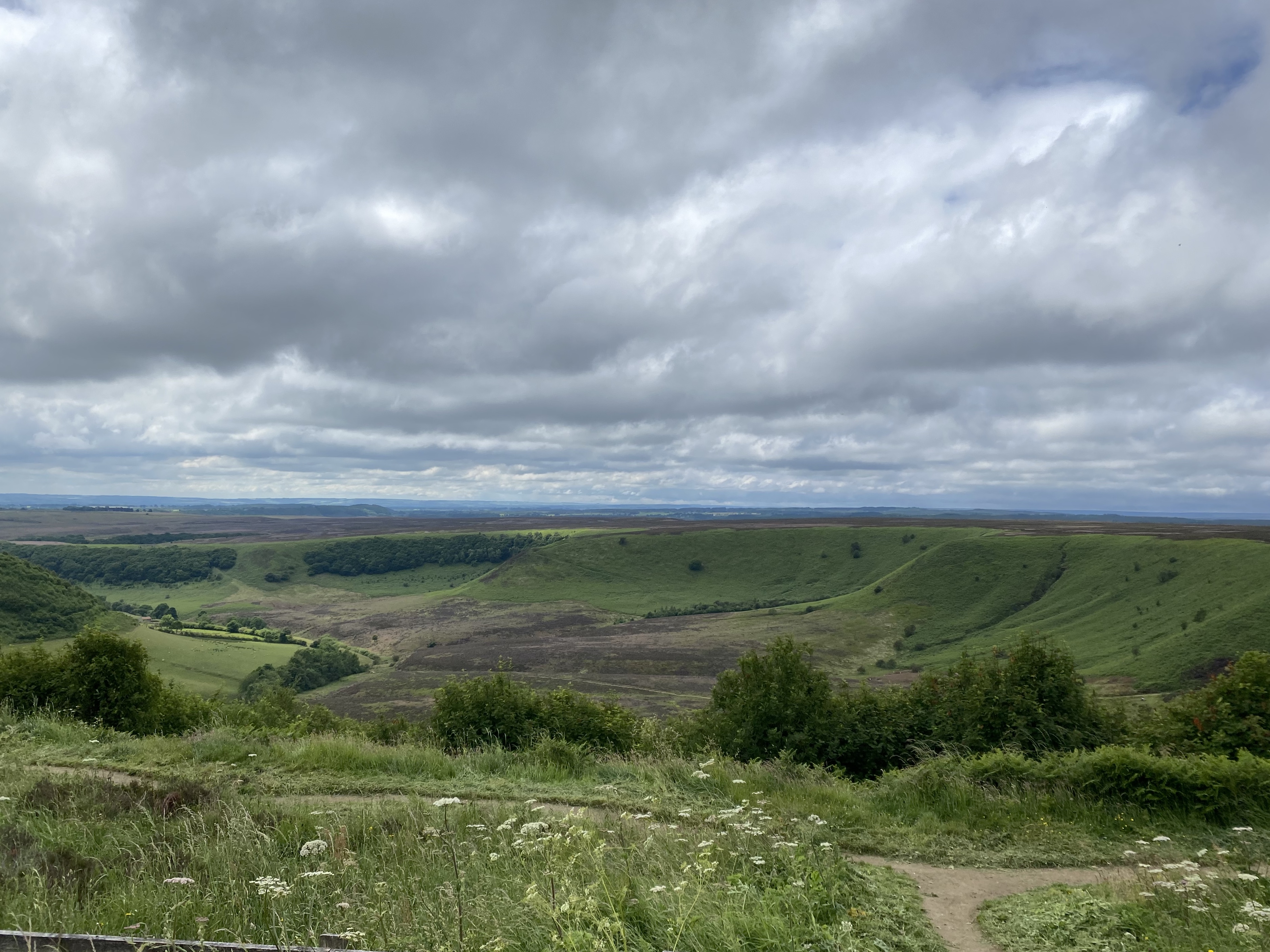 1D5222DA-76AF-4E51-848C-7D811EADE0B9