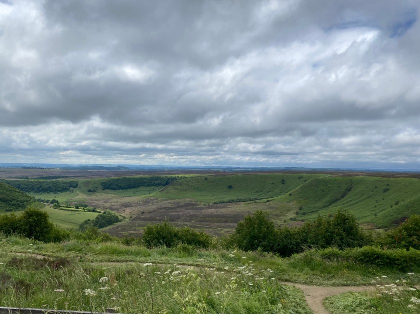 1D5222DA-76AF-4E51-848C-7D811EADE0B9