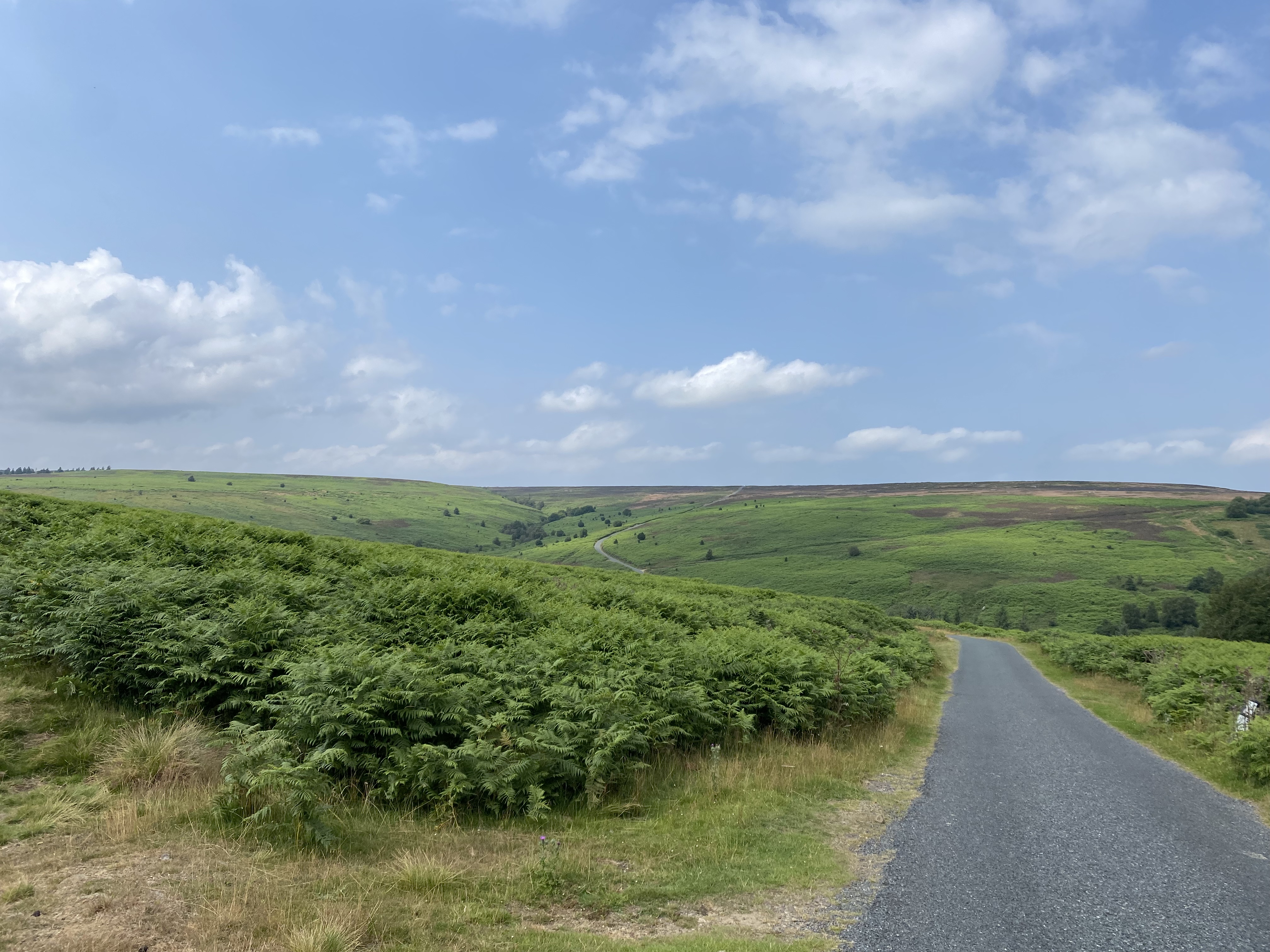 BF46D693-1754-4877-99D7-3857E389F64B