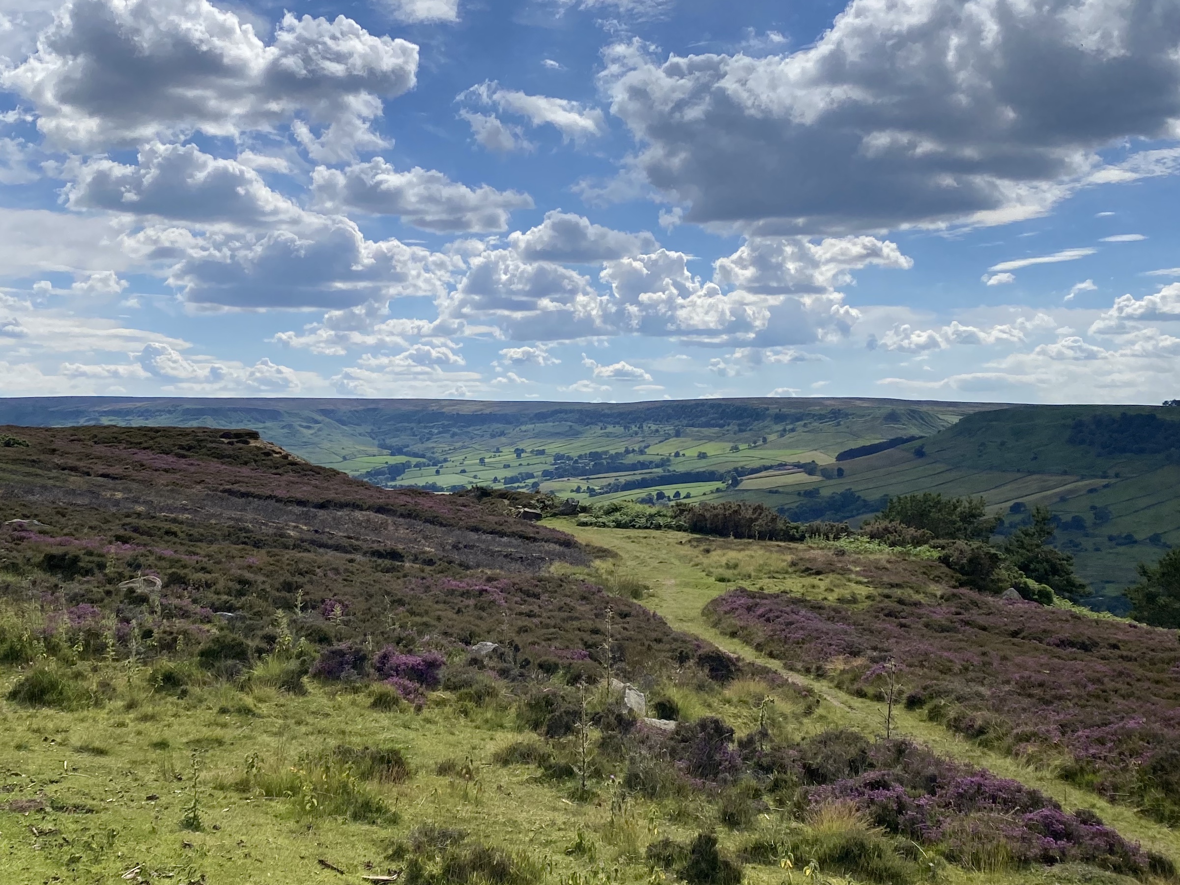 D4AAB7E3-C070-4169-BCCF-C88D52FDD7DB