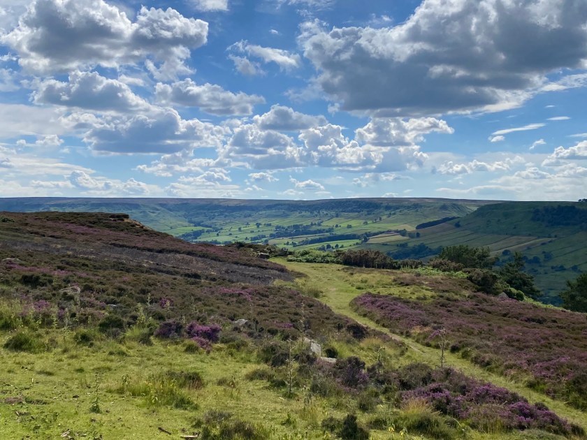 D4AAB7E3-C070-4169-BCCF-C88D52FDD7DB