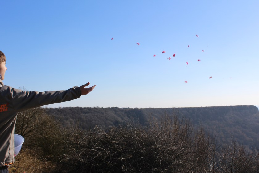 72C99733-5924-4761-96ED-AE9F3C0D0230