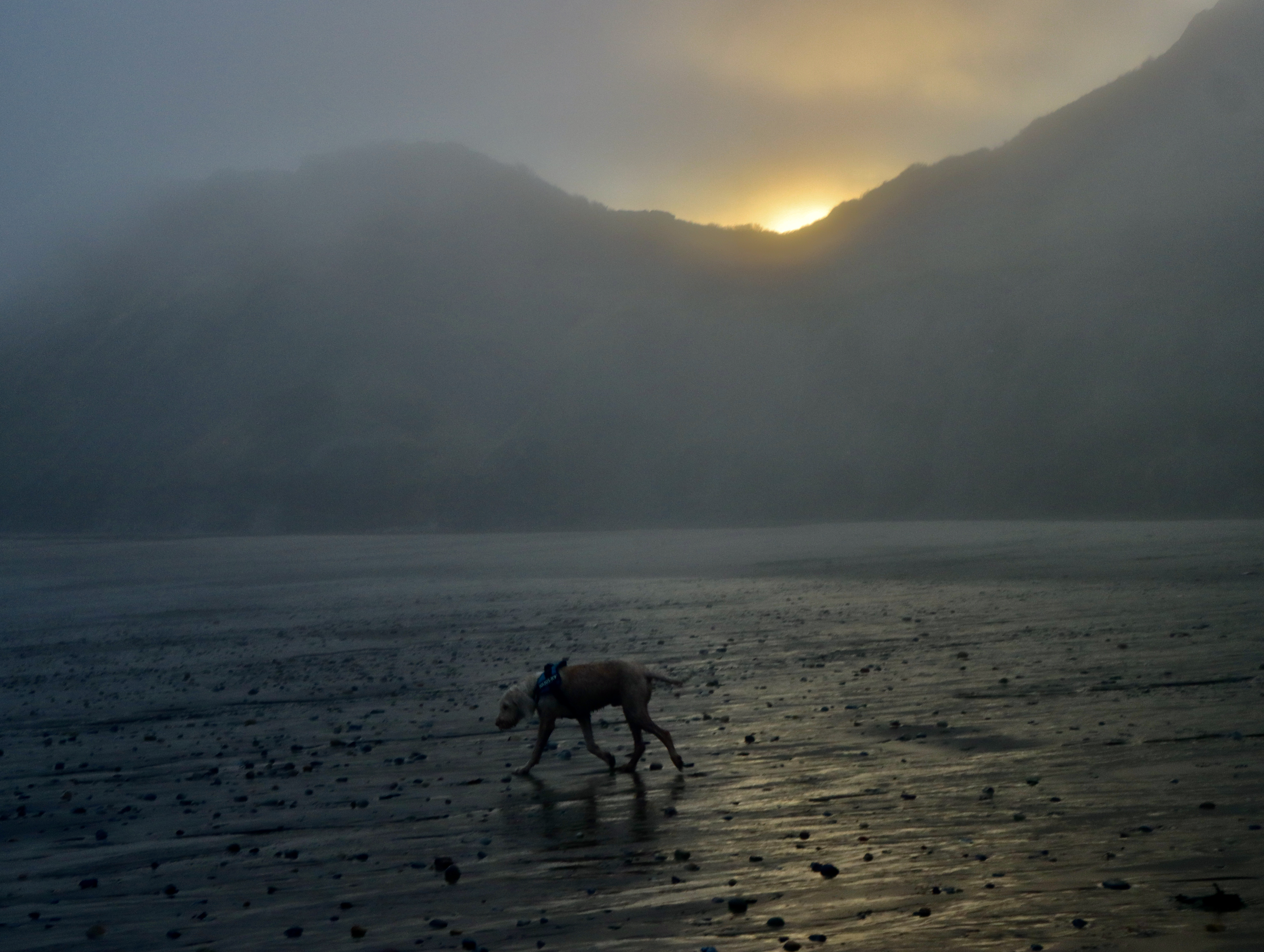 29C6EF78-FB7D-4F1B-B5CB-634243CE9890