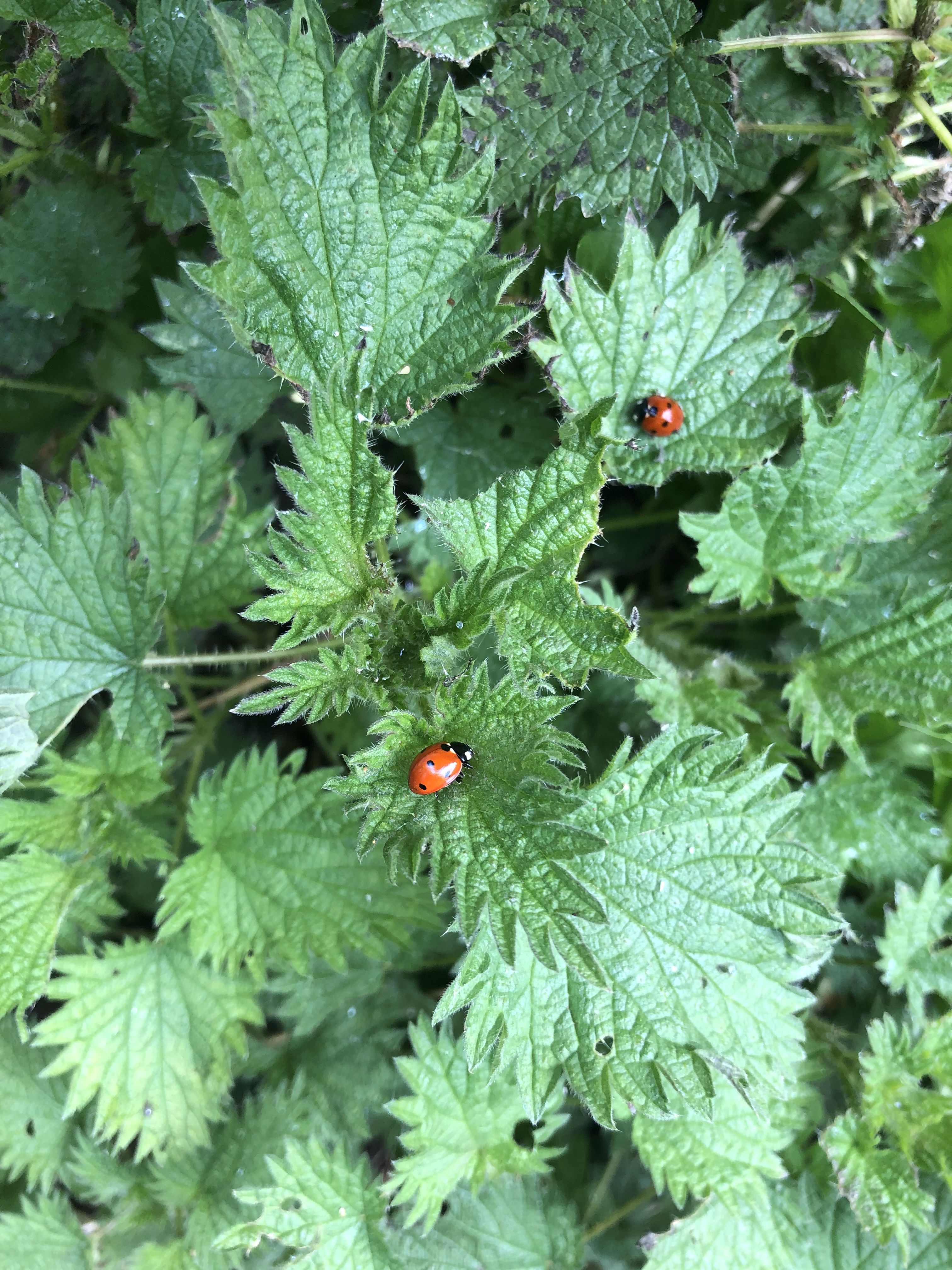 97A496C4-E213-4EEF-841E-252F32E49EBA