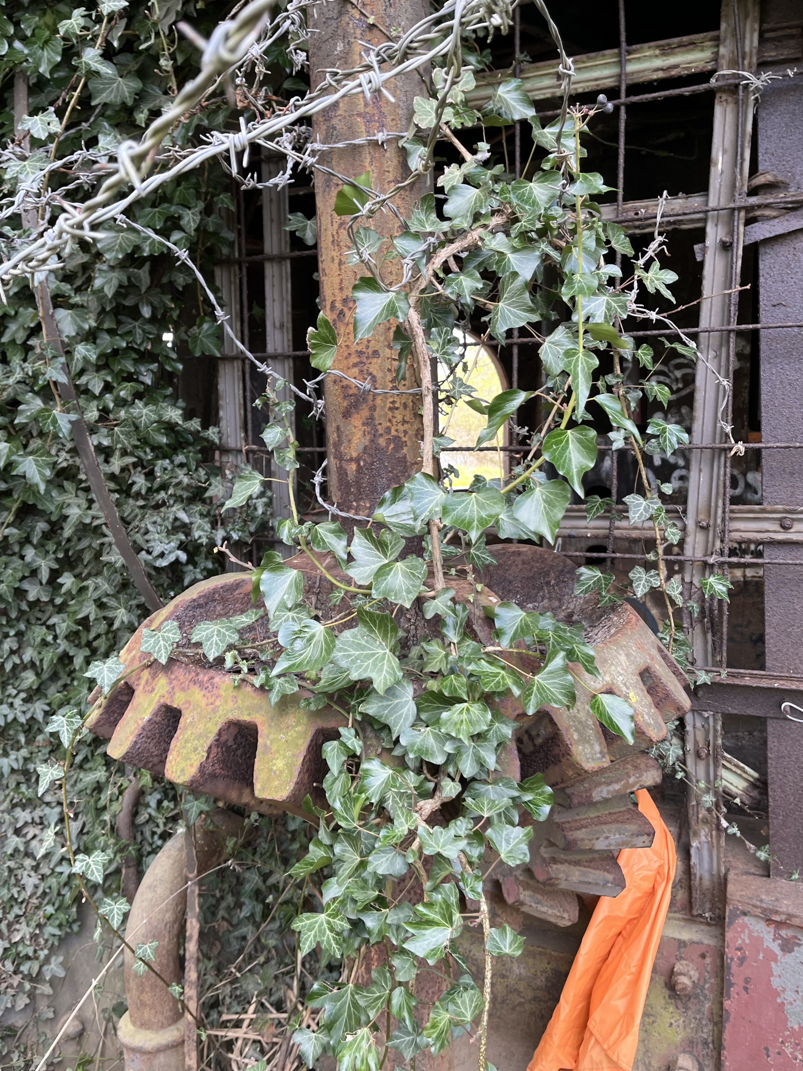 FD854964-BC7C-4C56-B805-6E405BB9019B