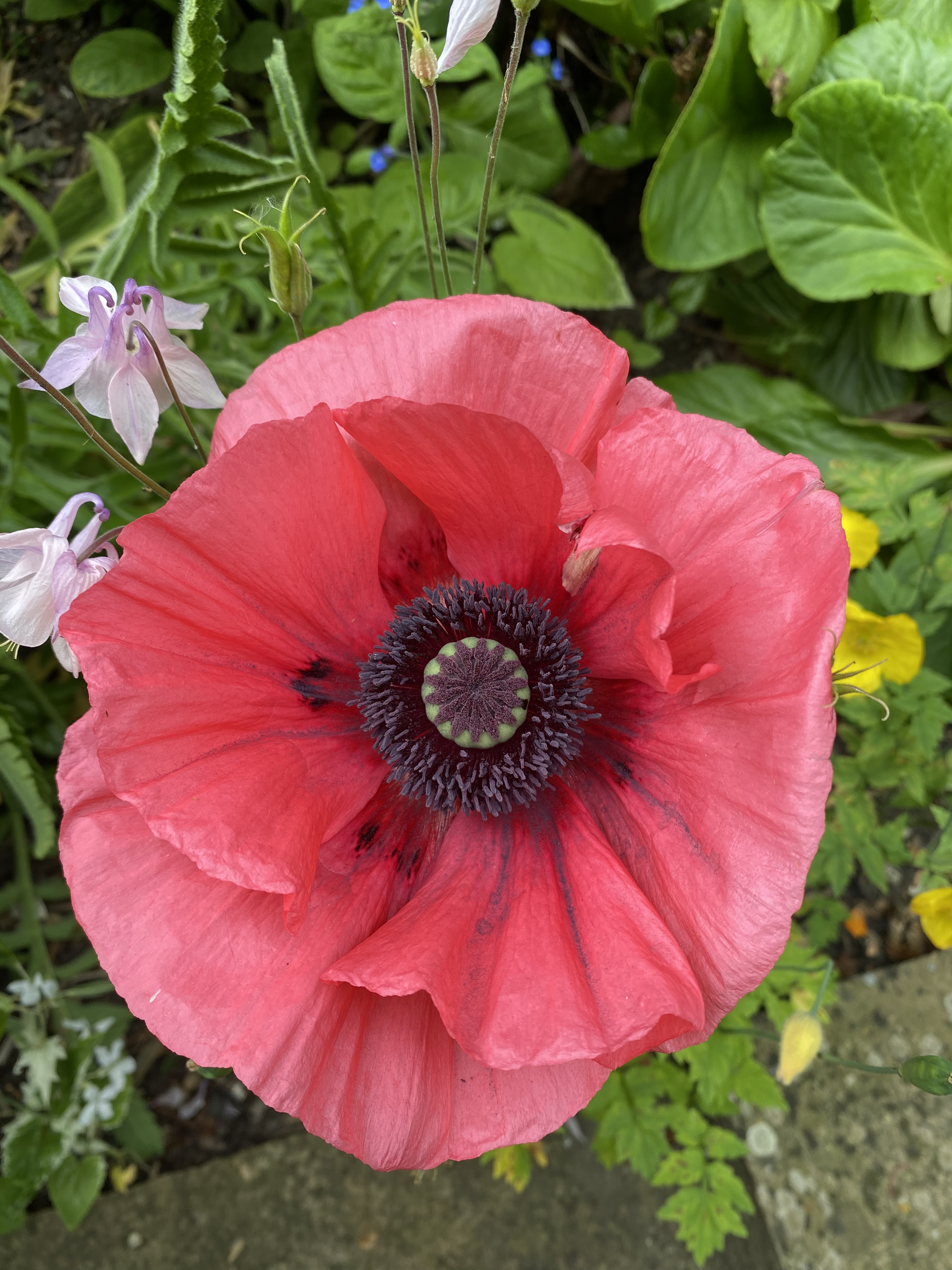 72843CF5-B7DA-426F-96B2-B0025BA6B822