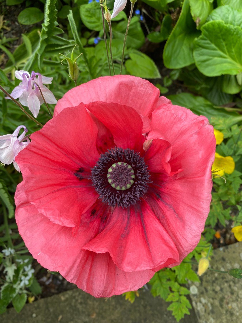 72843CF5-B7DA-426F-96B2-B0025BA6B822