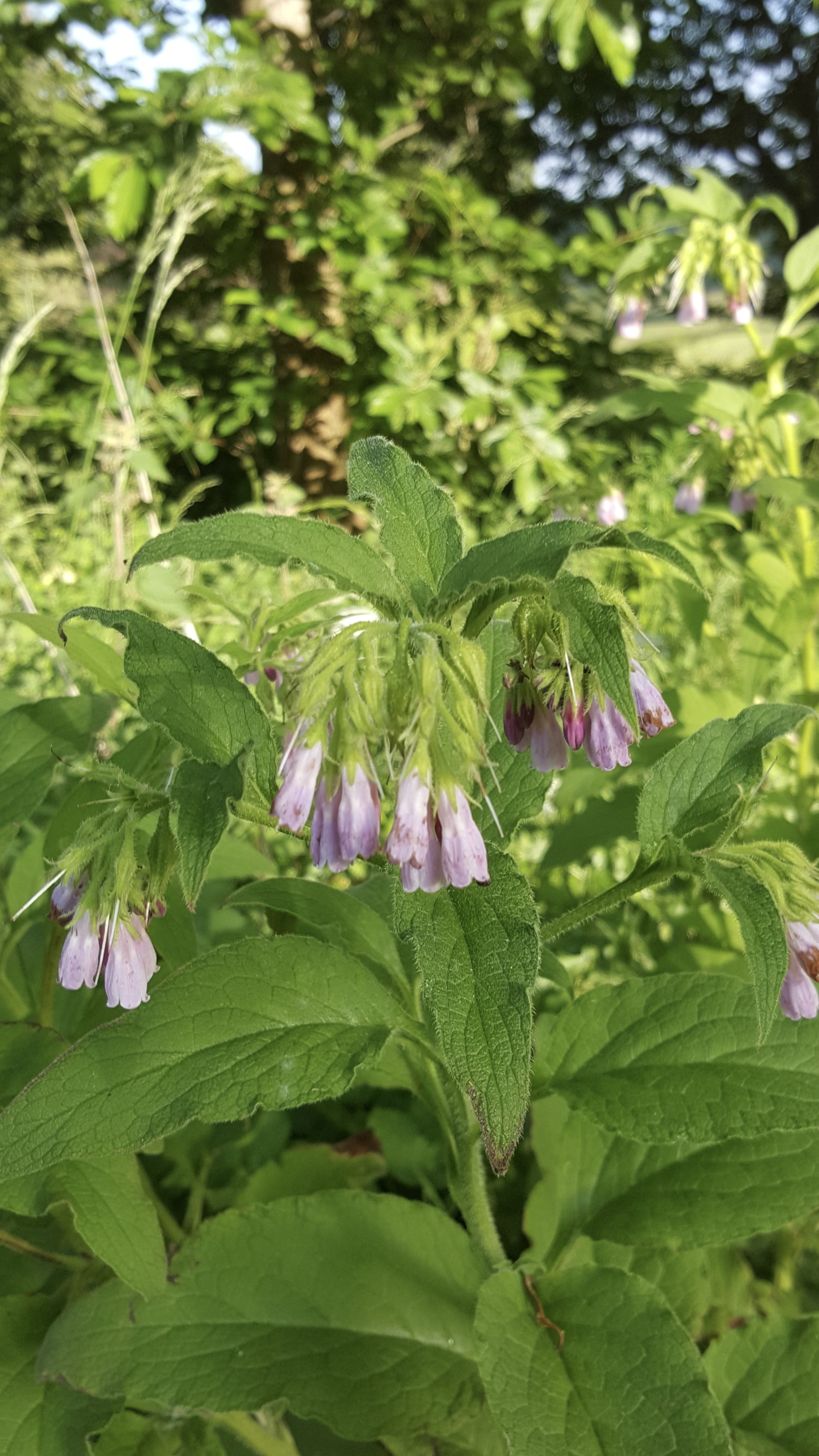 28086C10-95B5-4CAF-83E2-E5D77F111BC5