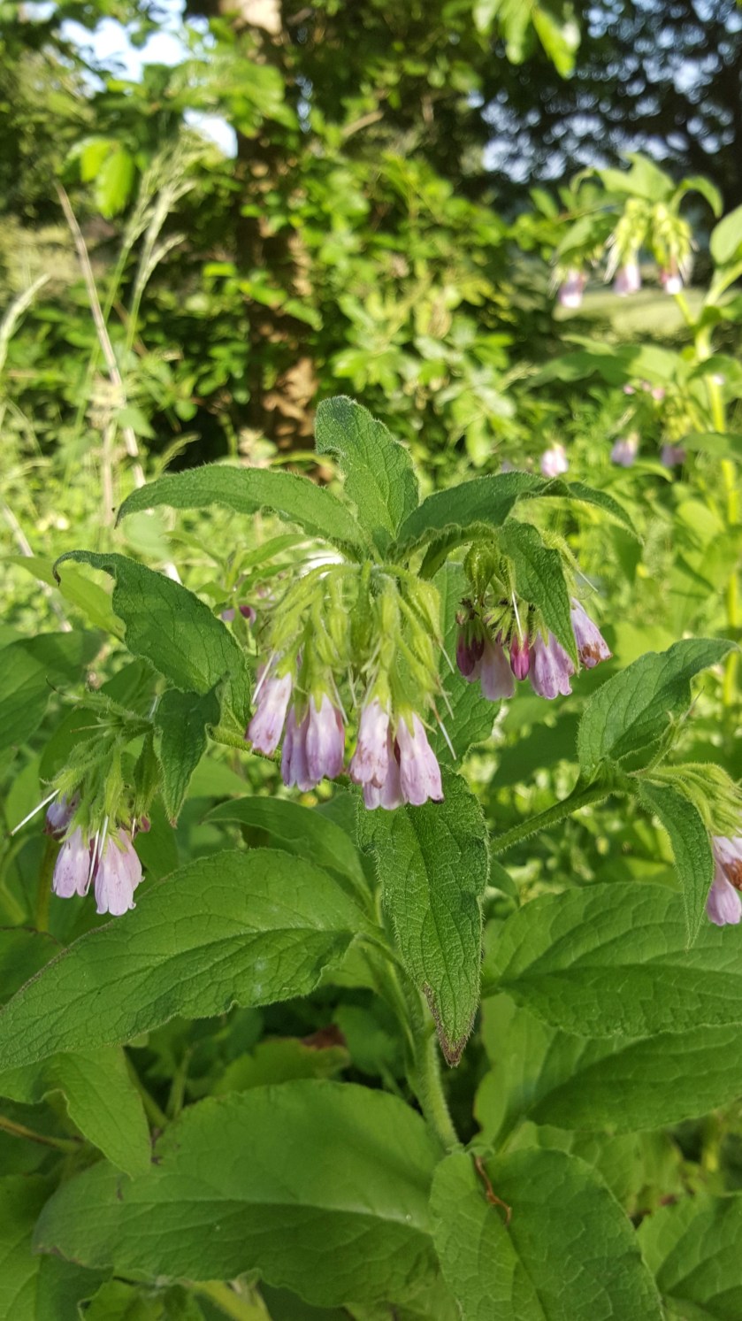 28086C10-95B5-4CAF-83E2-E5D77F111BC5