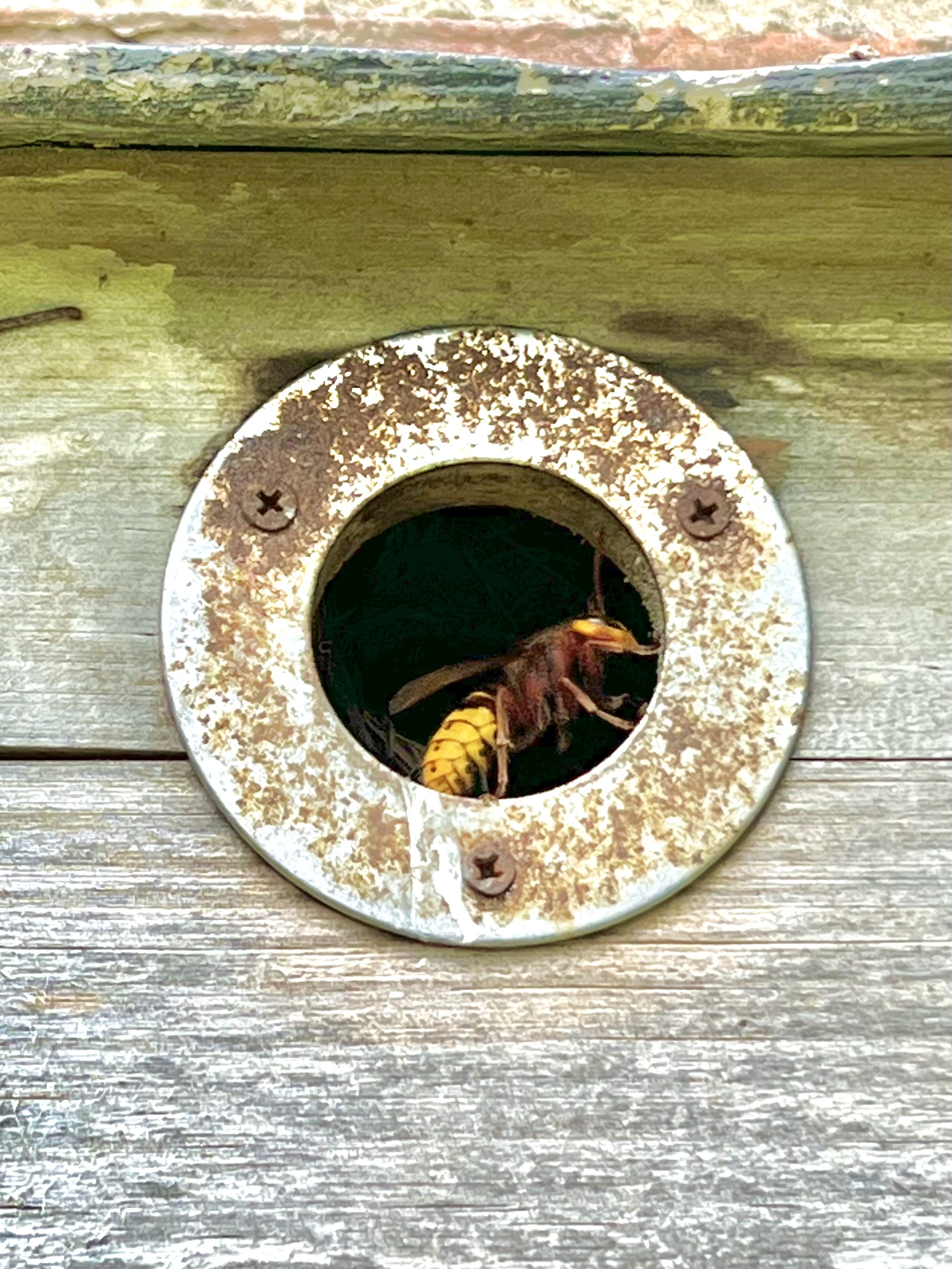 51A63B3B-372A-4D8F-895A-8E2FF784A21D