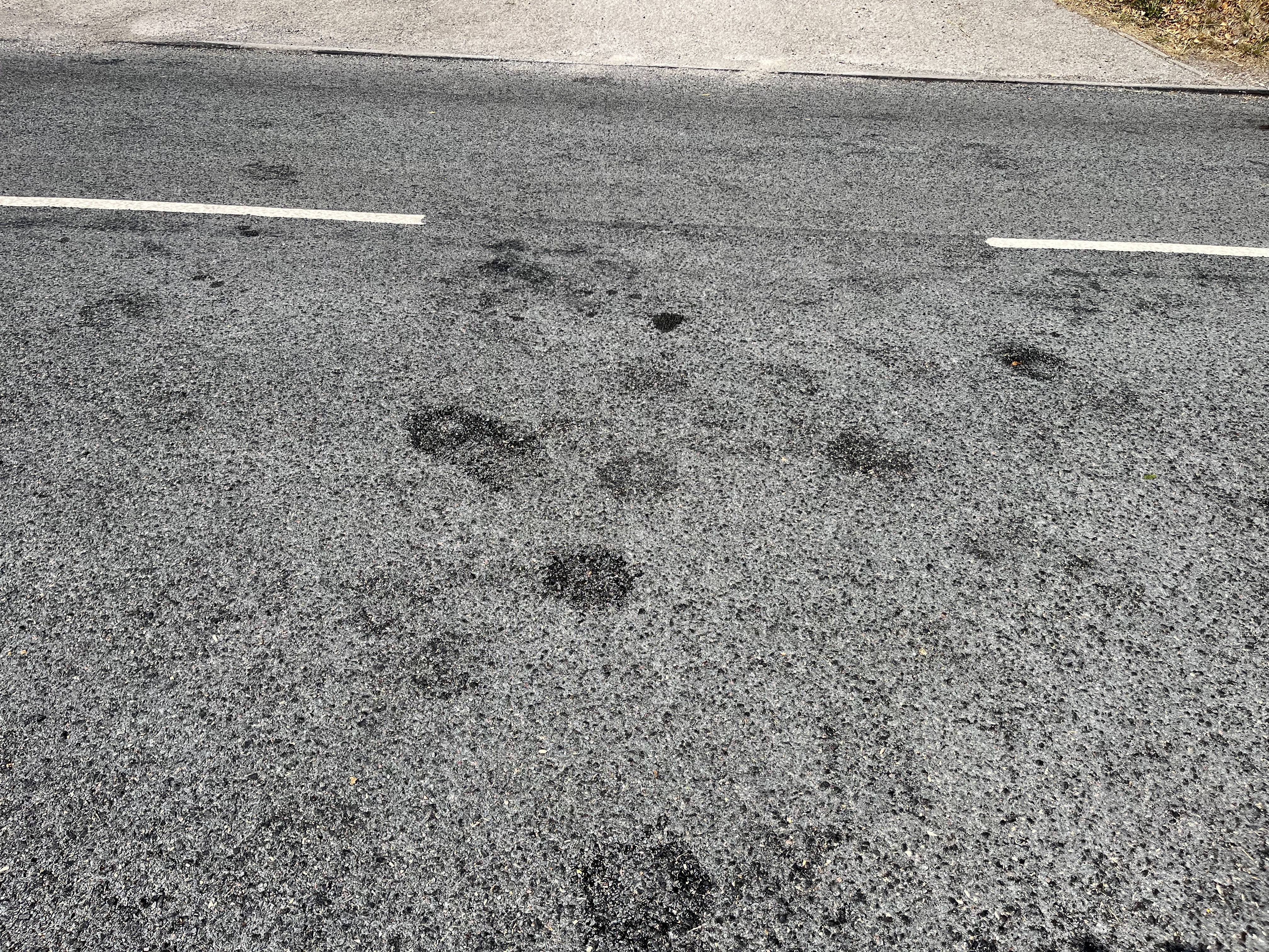 8A119EBC-FAE5-4226-8E8C-55675EF511B9