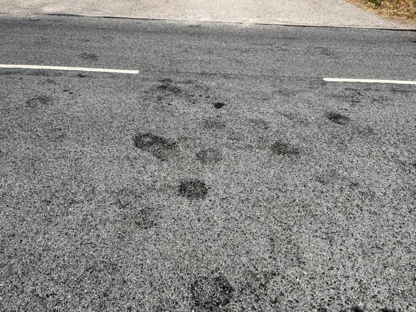 8A119EBC-FAE5-4226-8E8C-55675EF511B9