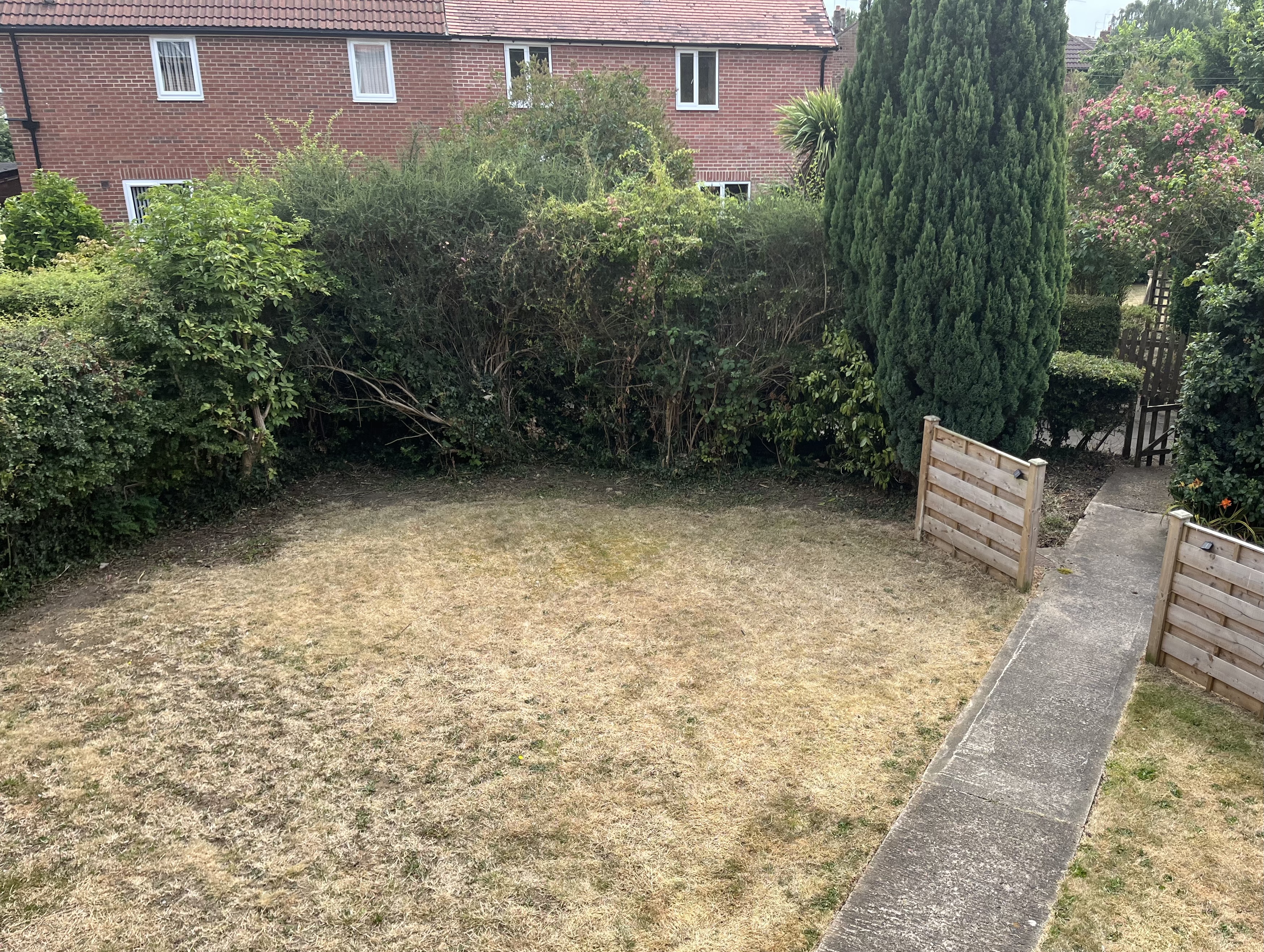 C03DD53D-0E25-467F-B9B2-8B3FE394E17A