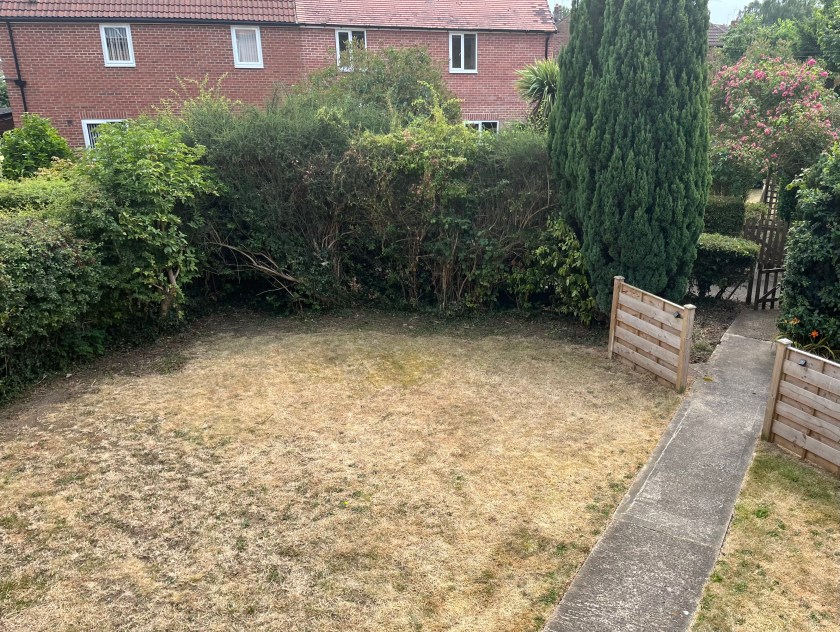 C03DD53D-0E25-467F-B9B2-8B3FE394E17A