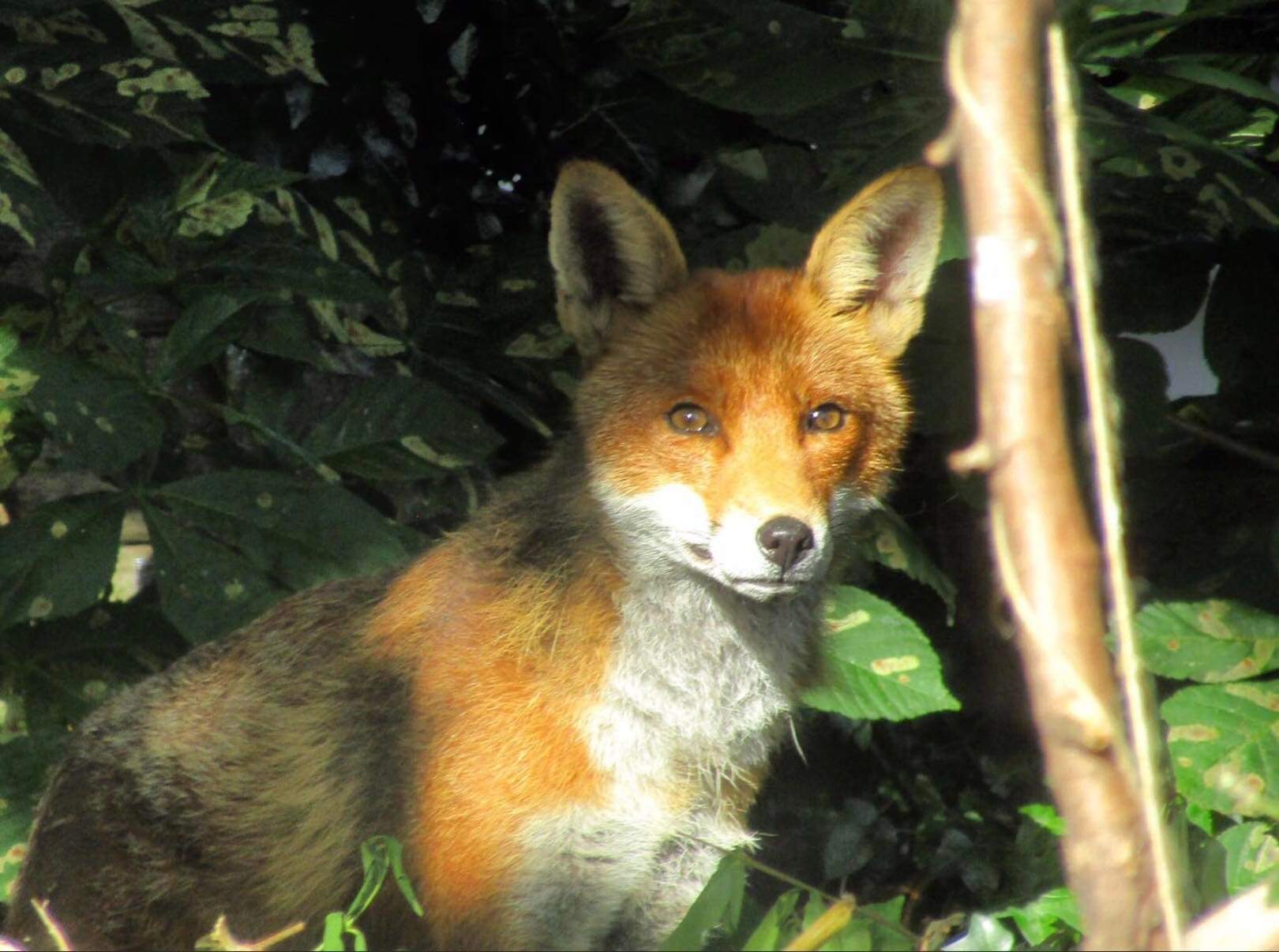 23B47C37-A94D-443D-913D-7A0B8D18777B