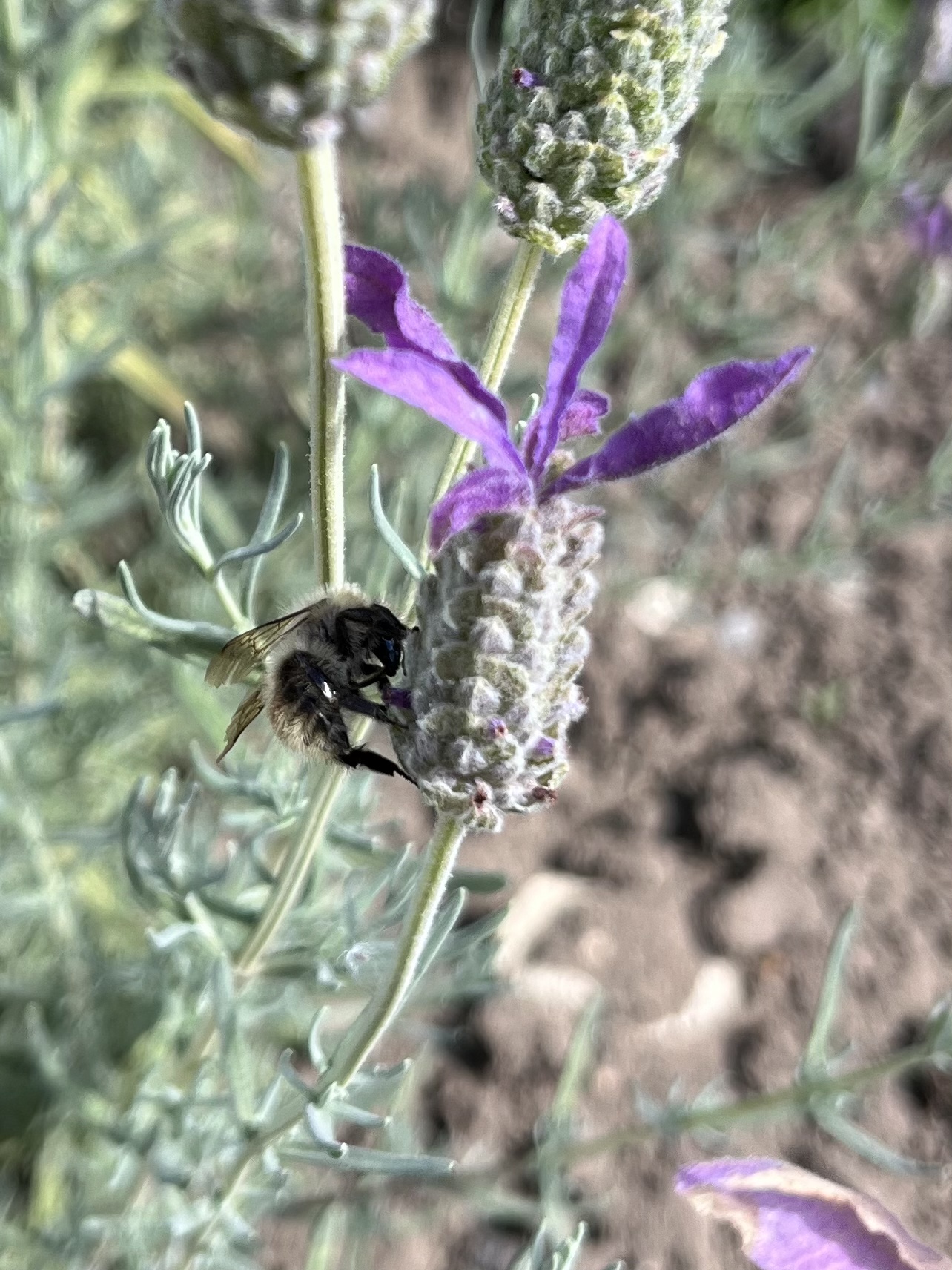 A2EB9163-94E7-4003-8C12-C3F4E8BE6606